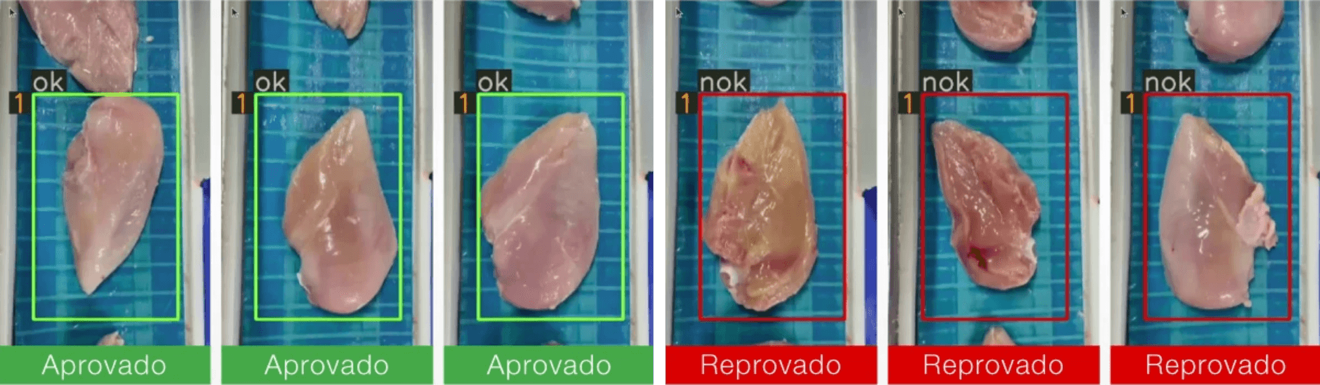 Inspeção de contaminação em carcaça de frango